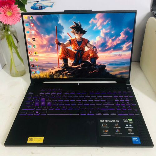 Asus TUF Gaming F16 FX607VJ-RL034W Intel Core 5 210H